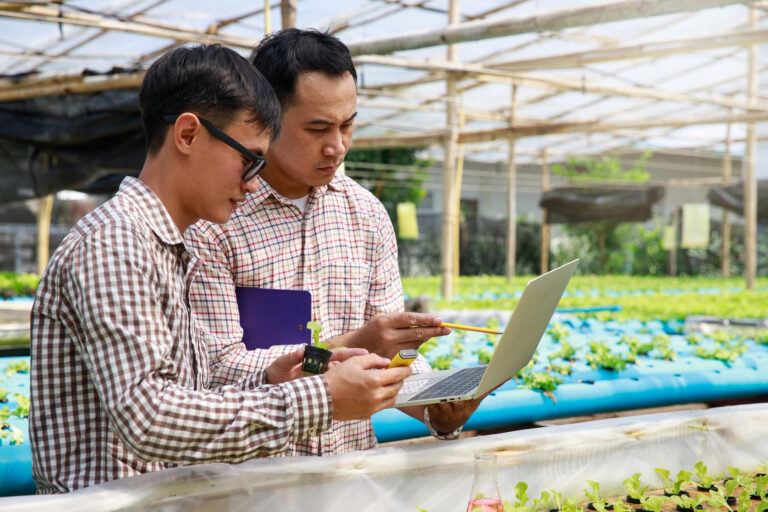 How Odoo Agri Business & Plantation Solutions Helps Farmers Manage Finances and Accounting Efficiently
