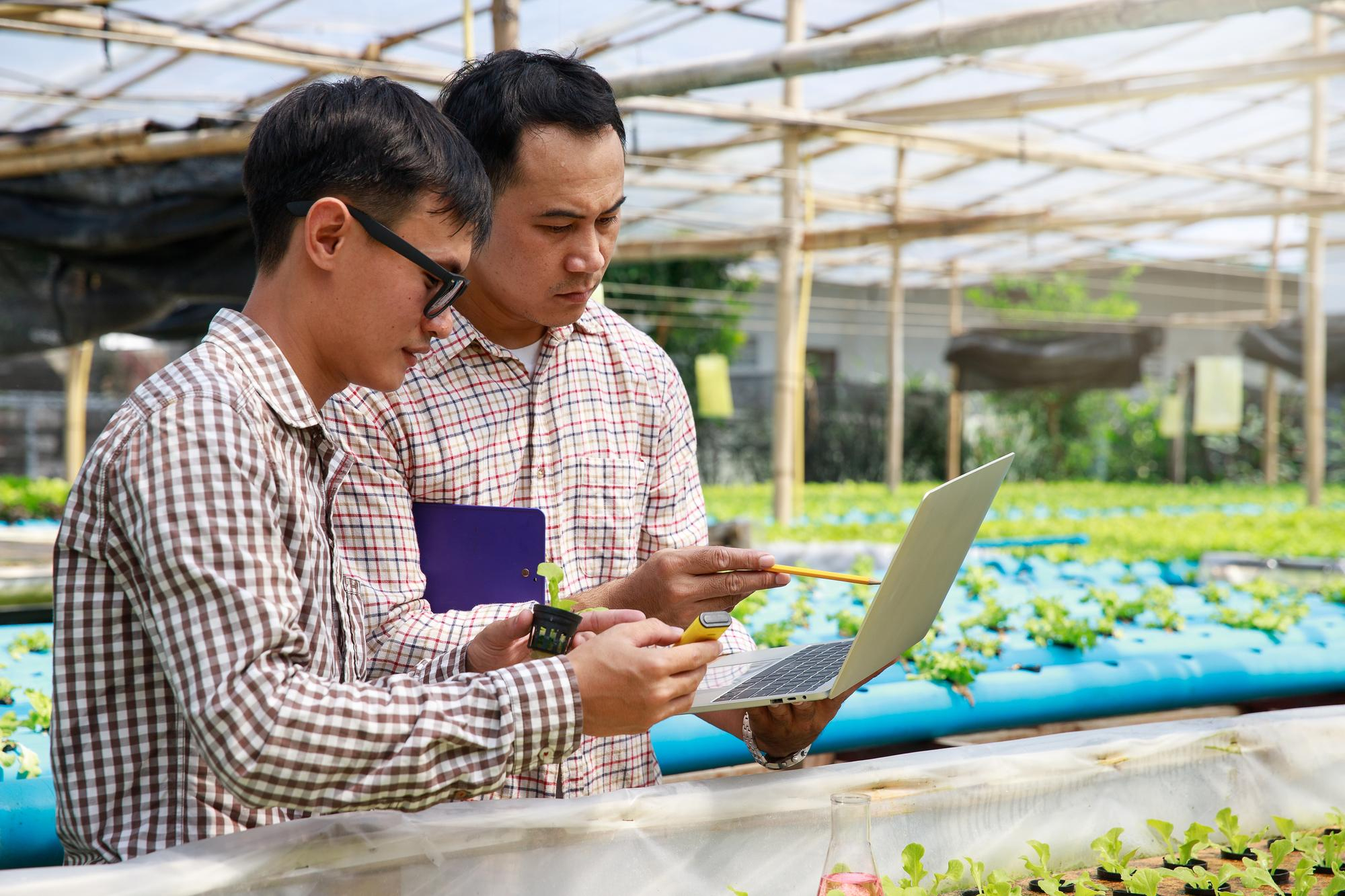How Odoo Agri Business & Plantation Solutions Helps Farmers Manage Finances and Accounting Efficiently