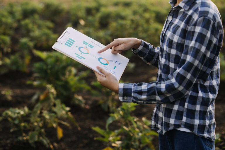 Case Study: Scaling Plantation Operations with Odoo Agri Business & Plantation Solutions