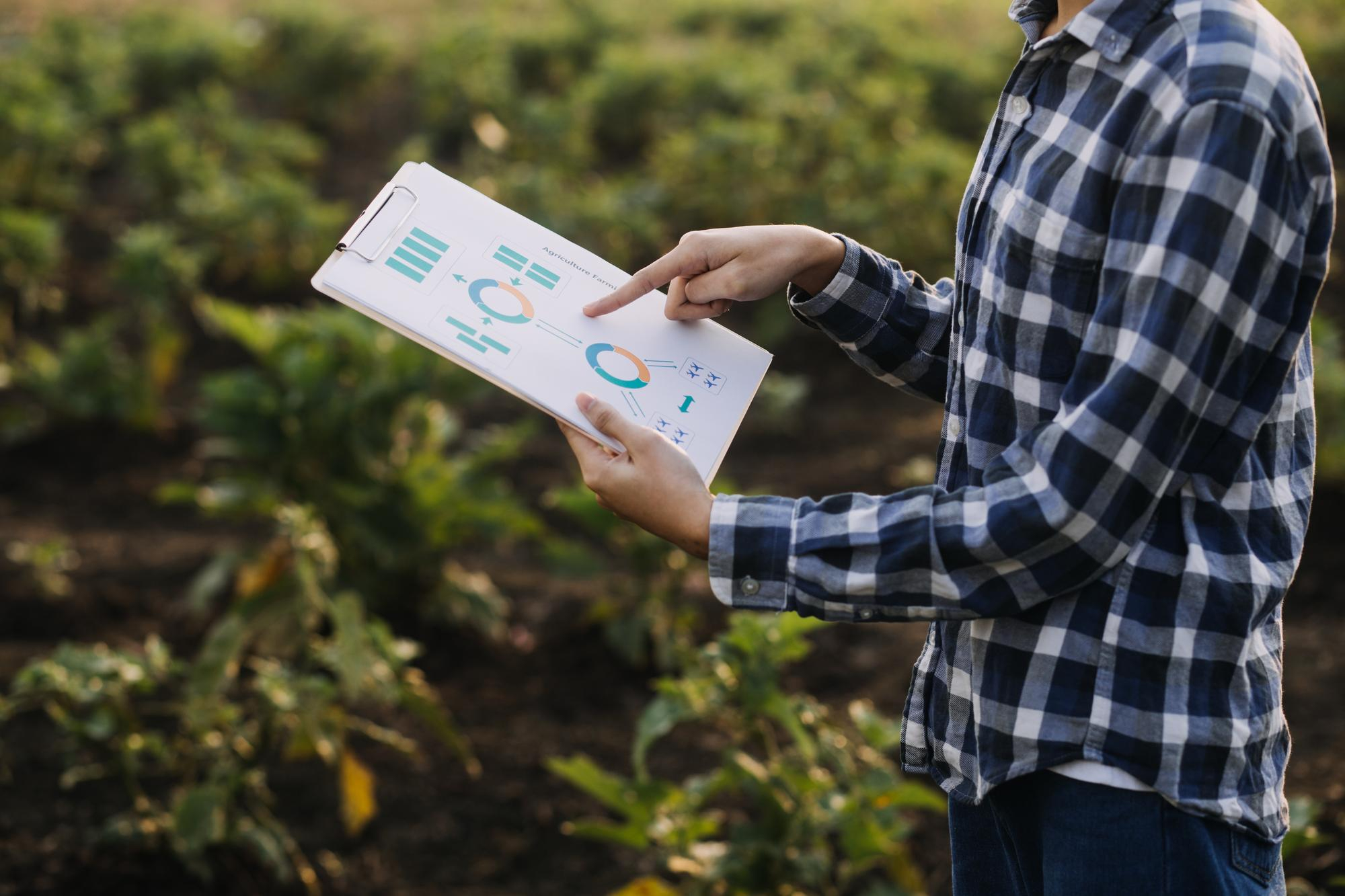 Case Study: Scaling Plantation Operations with Odoo Agri Business & Plantation Solutions