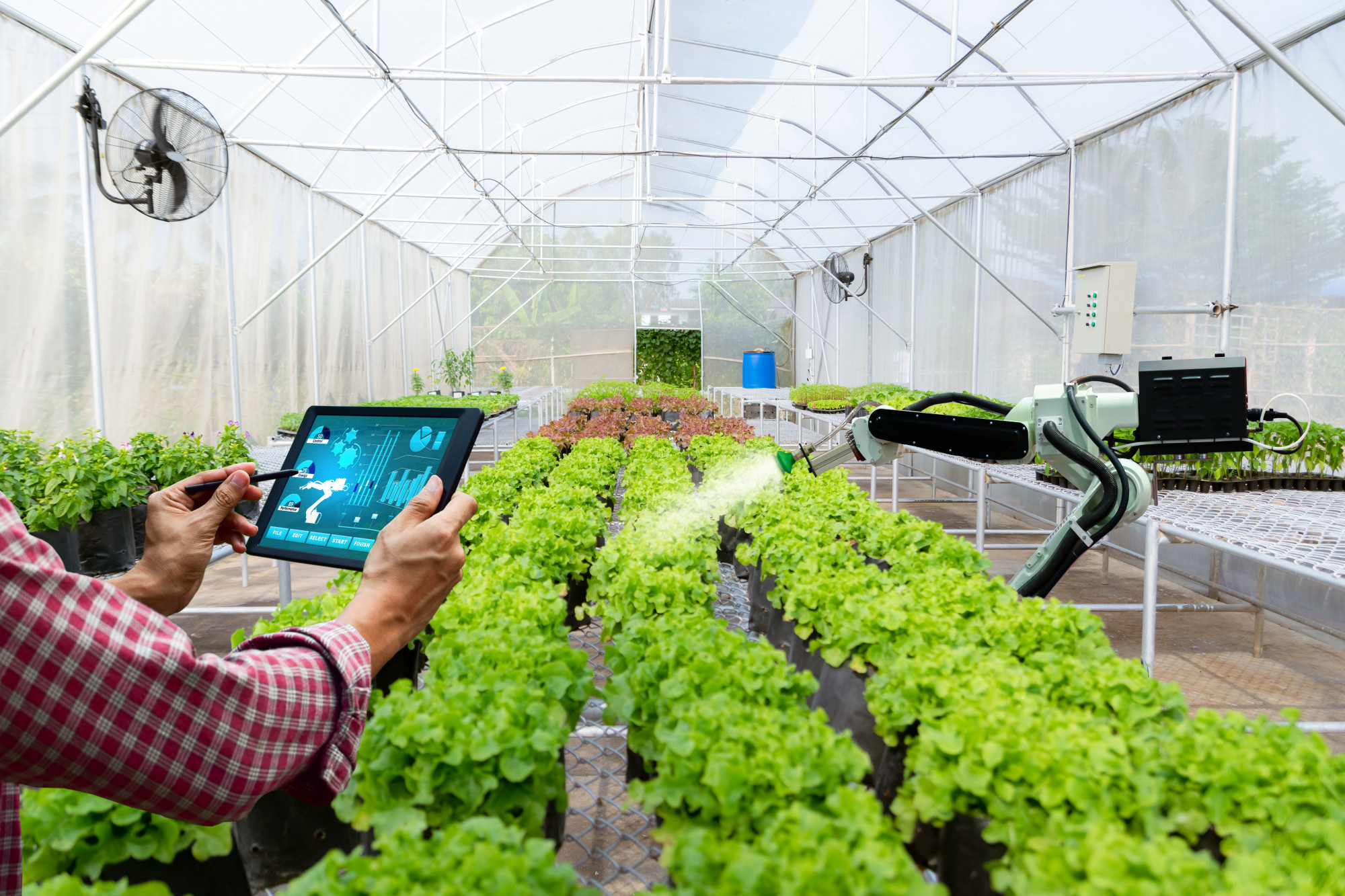 How IoT and Odoo Agri Business & Plantation Solutions Transform Modern Agriculture